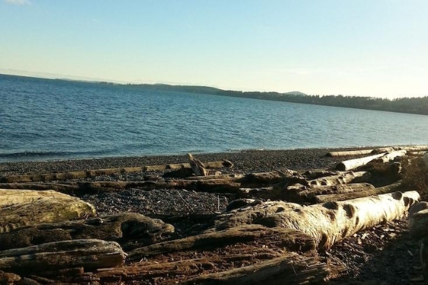 Hotel By the Sea BnB Sidney BC (North Saanich)